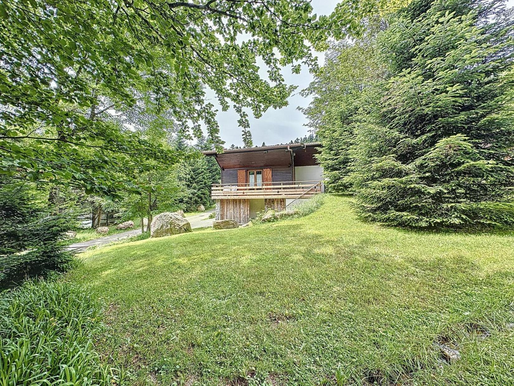 Le Chalet Des Belles Roches, La Bresse Hohneck Βίλα Εξωτερικό φωτογραφία